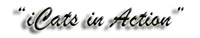 pf logo