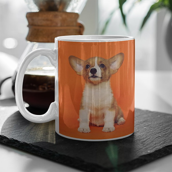 Photo Gifts Personalized Photo Gifts Rite Aid Photo